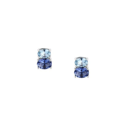 Morellato Colori Stainless Steel Earrings SAVY17 For Women